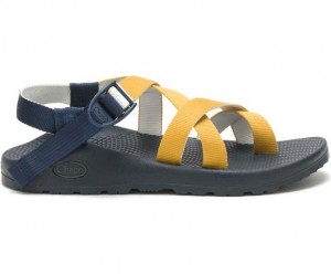 Multicolor Chaco Z/2 Classic Women Sandals | 08549-DUKS | Usa