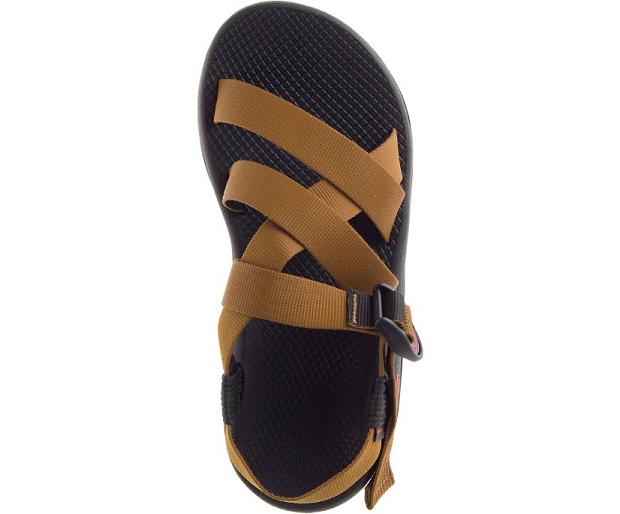 Black Chaco Banded Z/Cloud Men Sandals | 26079-SEYM | Usa