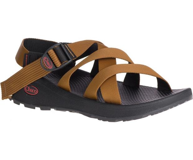 Black Chaco Banded Z/Cloud Men Sandals | 26079-SEYM | Usa