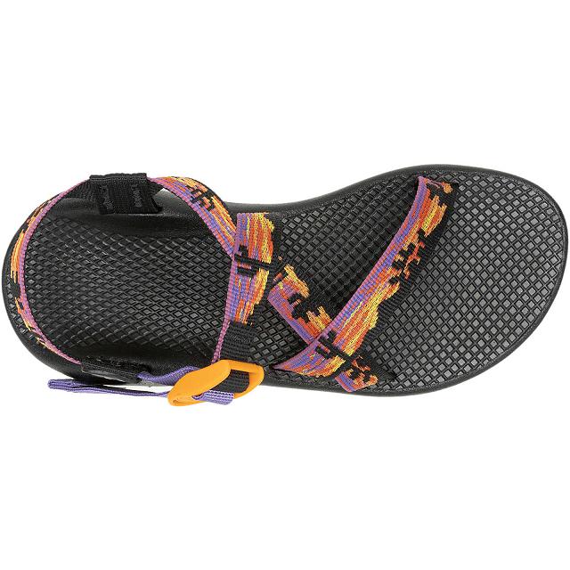 Black Purple Chaco Z/1 Classic Adjustable Strap Women Sandals | 85726-BEUZ | Usa