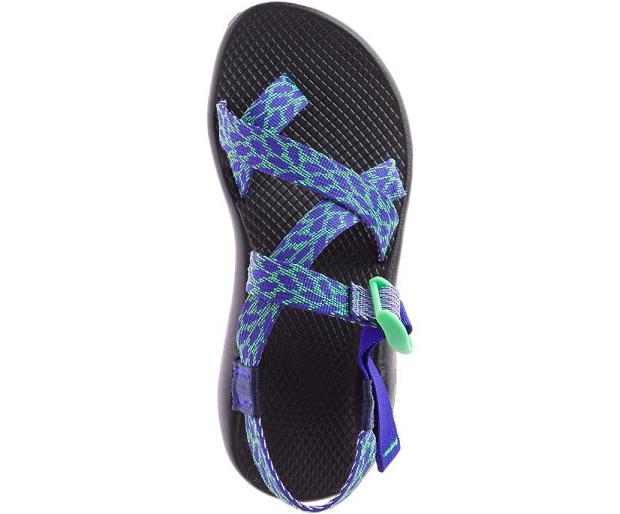 Blue Black Chaco Z/2 Classic Women Sandals | 63142-YDLC | Usa