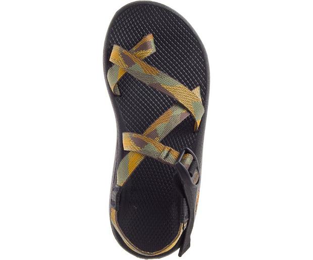 Gold Chaco Z/Cloud 2 Men Sandals | 49218-UZXO | Usa