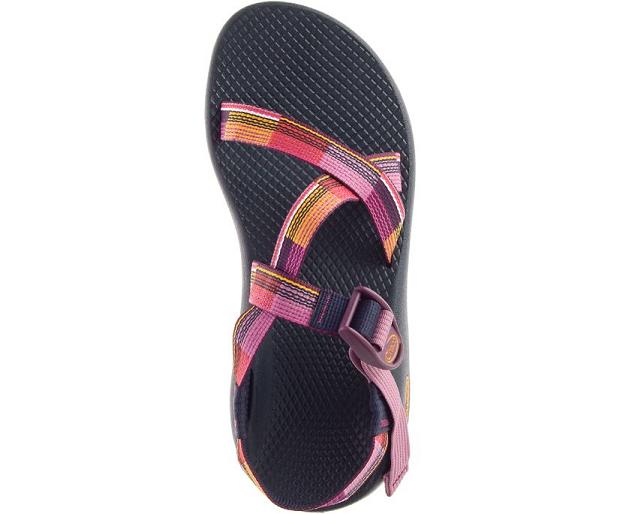 Navy Chaco Z/1 Classic Women Sandals | 12035-YZSH | Usa