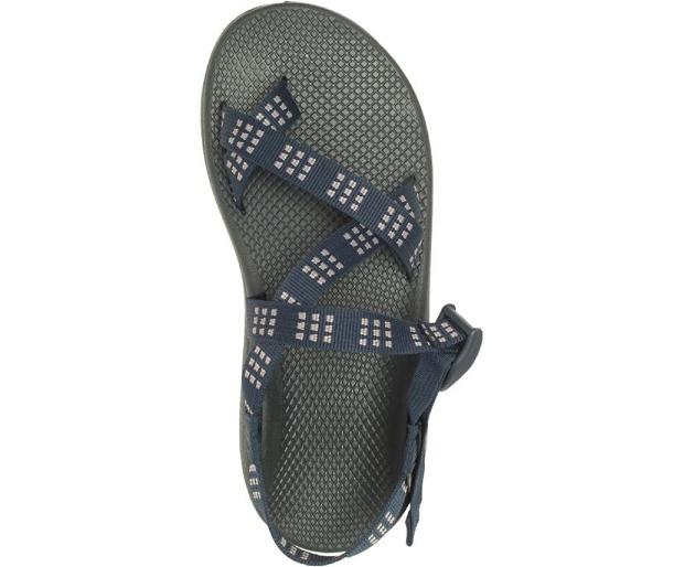 Navy Chaco Z/Cloud 2 Men Sandals | 40328-LAXC | Usa