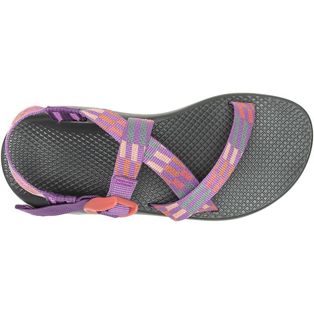 Purple Chaco Z/1 Classic Adjustable Strap Women Sandals | 47208-ACPD | Usa